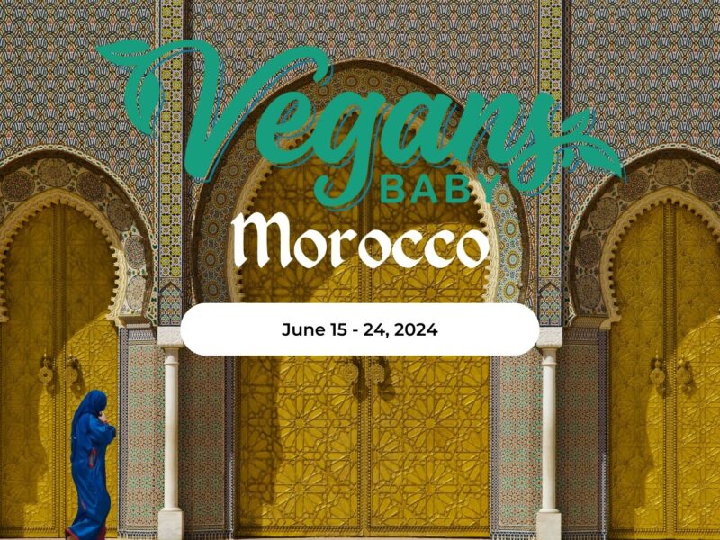 Join Vegans, Baby's diana Edelman on a luxury vegan tour of Morocco June 15 - 24, 2024