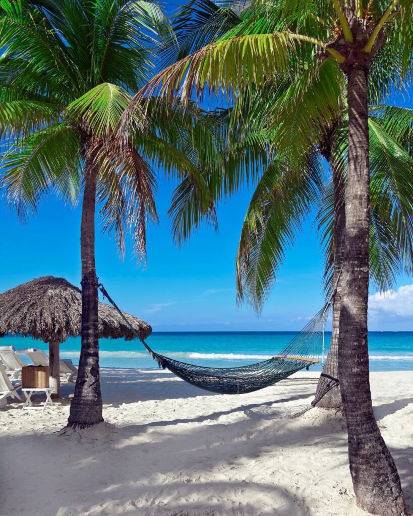 Jamaica is is one of The 25 best destinations for ecotourism (2024).