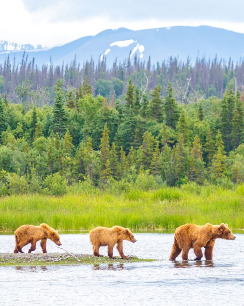 USA is one of The 25 best destinations for ecotourism (2024).