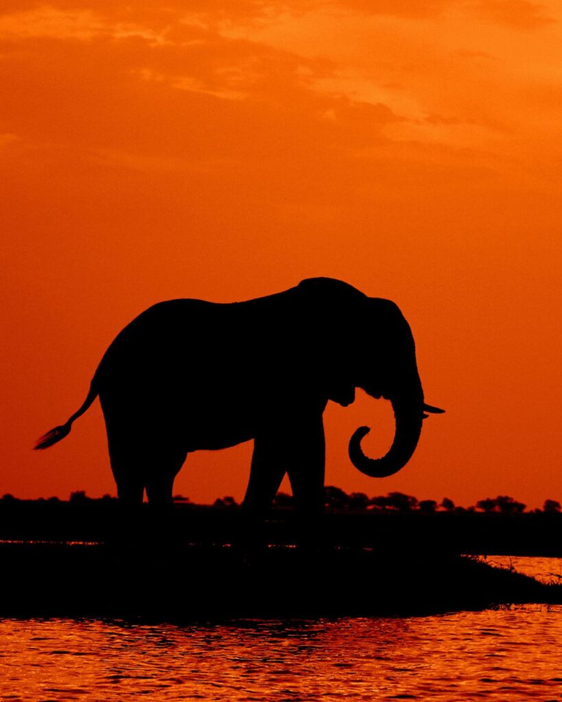 Botswana is one of The 25 best destinations for ecotourism (2024).