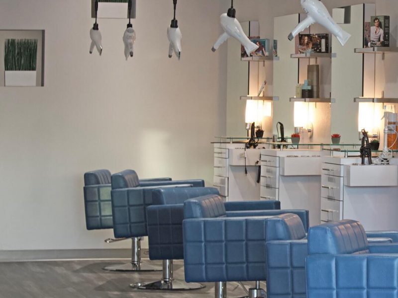 Featuring mostly vegan products, Studio Khroma is a green circle certified salon in Las Vegas. For more businesses catering to vegans, visit www.vegansbaby.com/vegansbaby2018
