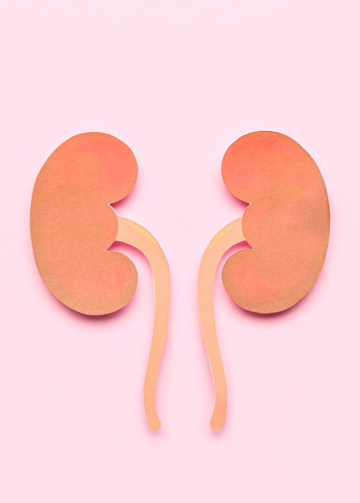 Going vegan can improve kidney function. Vegan bodies before and after show improved kidney function
