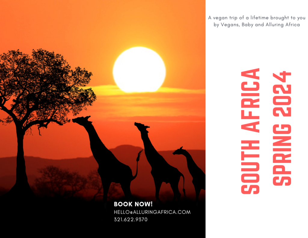 Join Vegans, Baby and Alluring Africa on this award-winning vegan tour to South Africa. For more vegan travel visit www.vegansbaby.com