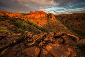 Explore the Grand Canyon with this Grand Canyon tour from Las Vegas. For more tours, visit www.vegansbaby.com/vegansbaby2018