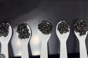 5 vegan products from Summer Fancy Food Show 2023 to look out for.