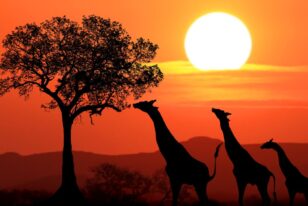 The 25 best destinations for ecotourism (2024)